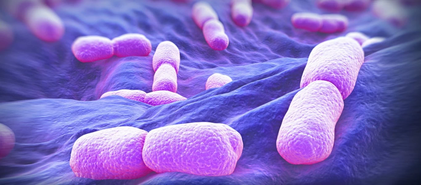 Λιστέρια: Τι είναι το άκρως επικίνδυνο βακτήριο στο πιάτο μας; - Τι μπορεί να προκαλέσει